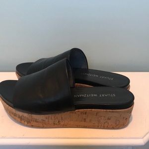 Stuart Weizmann  slides